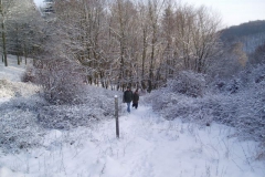 1. Winterwanderung 2010