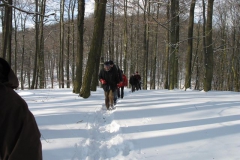 winterwanderung_14_02_2010_01_20100214_1527697237