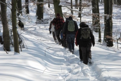 winterwanderung_14_02_2010_4_20100214_1371338085