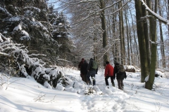 winterwanderung_14_02_2010_5_20100214_1013138831