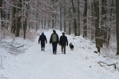 5_winterwanderung_2010_10_20100221_1858355412