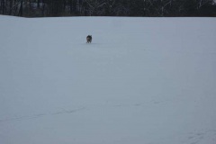 5_winterwanderung_2010_18_20100221_1742645174