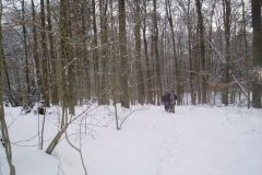 6. Winterwanderung 2010