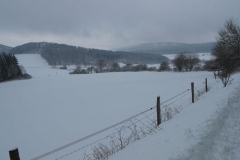 5_winterwanderung_2010_2_20100221_1374925389