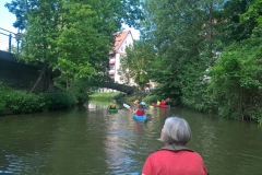 bamberg_22_20180710_1103768574