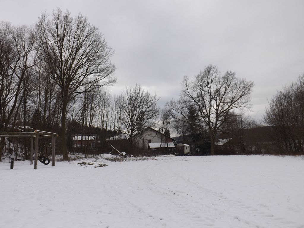 baumfaellen_11_20150222_1828151253