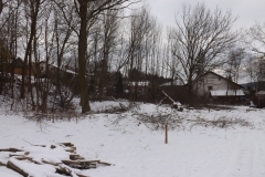 baumfaellen_12_20150222_1221362027