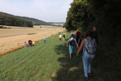diemel_17_20130829_1307892717