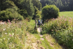 diemel_37_20130829_1949628120