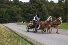 diemel_48_20130829_1146424981