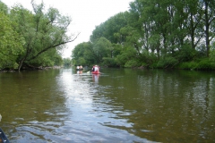 3fluesse_38_20120522_1355621772