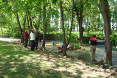 3fluesse_58_20120530_1831945410