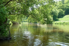 3fluesse_92_20120530_1317873825