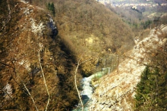 franz_jura_5_20090829_2050986017