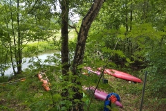 IMG_20260604_131241