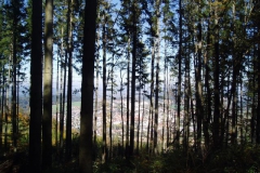 Herbstferien im Forsthaus Rohanov 2007