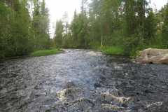 perankajoki_15_20150906_1846108965