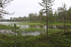 perankajoki_60_20150906_1335581457