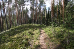 Wandern am Jungunjoki