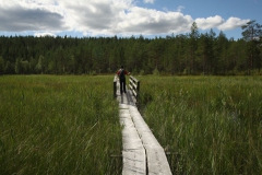 Wandern an den Ruuna Schnellen