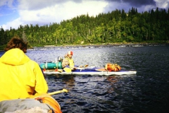 labrador1986_17_20090808_1302807652