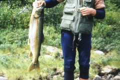 labrador1986_21_20090808_2048776018