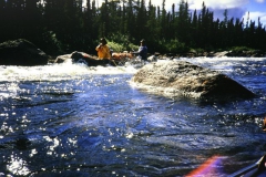 labrador1986_29_20090808_1307944904