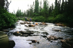 labrador1986_33_20090808_1617751338