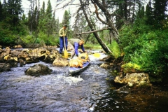 labrador1986_34_20090808_1893074495