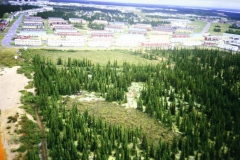labrador1986_66_20090808_1557547044