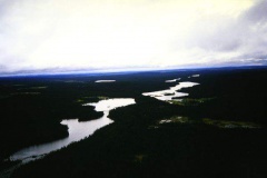 labrador1986_67_20090808_1037319717
