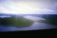 labrador1986_68_20090808_1130564502