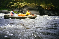 labrador1986_71_20090808_1162433532