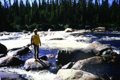 labrador1986_77_20090808_2052026956