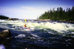 labrador1986_81_20090808_2021482435