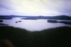 labrador1986_83_20090808_1236240210