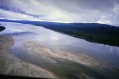 labrador1986_85_20090808_1169679960