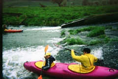 Nehte 1975-2003