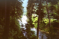 Orke 1975-2003