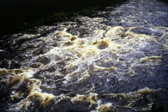 otava_27_20090823_1226503943