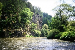 otava_6_20090823_2000142122