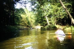 spreewald_13_20090823_1410987690