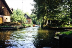 Spreewald 1975-2003