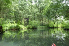 spreewald_14_20180711_1230554884