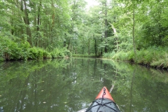 spreewald_15_20180711_1753943669