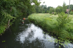 spreewald_16_20180711_1989306094