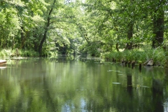 spreewald_2_20180711_1265407738