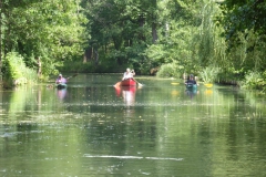 spreewald_37_20180711_1480437246