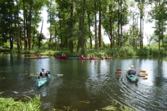 spreewald_3_20180711_1693775629