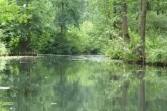 spreewald_9_20180711_1306005674